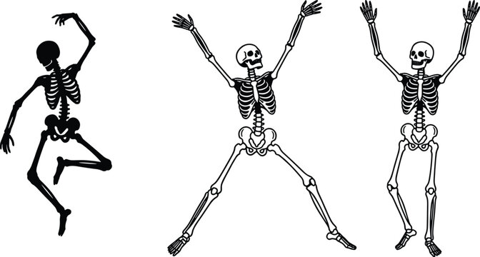 Dancing Skeleton Character Collection with Halloween Skeleton Poses, Spooky Party Elements, and Anatomical Bone Illustrations