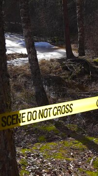 Yellow police tape with the words Crime Scene Do Not Cross marking off a restricted area in a sunny spring forest with patches of melting snow, signaling an active investigation