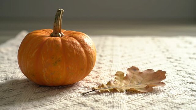 Small orange pumpkin and dried oak leaf on a textured white knitted blanket