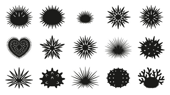 Collection of black silhouette icons representing various sea urchins and marine life.