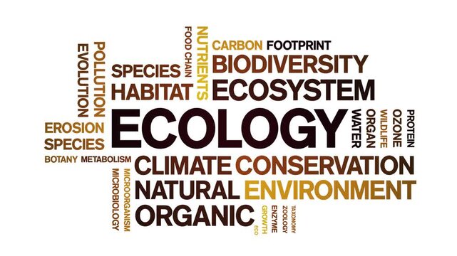 Ecology animated word cloud-text design animation tag kinetic typography seamless loop.