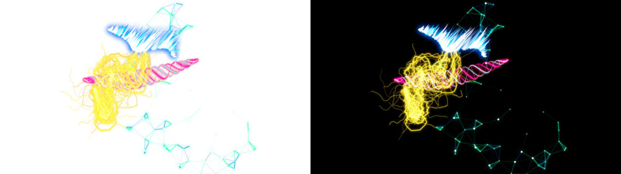 Abstract neon light strokes, vibrant glowing line art illustration, colorful artistic light trails on black and white background