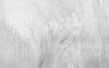 Obraz premium white wood texture. White wood wall. Wood white texture and background. Old wooden plank painted in white color. Natural white wood texture.