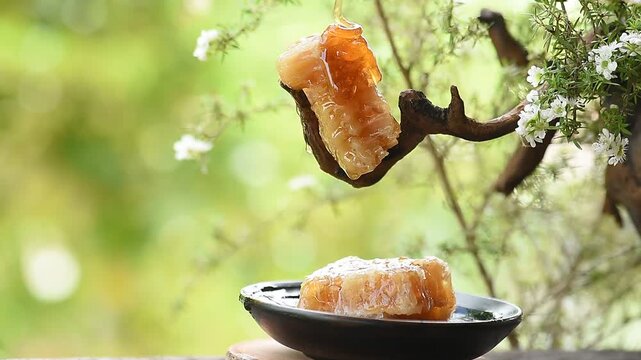 Manuka honey, honeycomb and flowers on natural background.