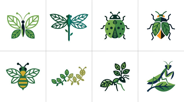 Insects and bugs on leaves green.