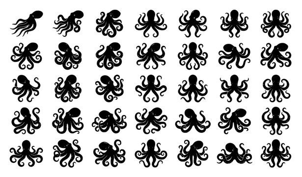 Black octopus illustration collection detailed tentacles and unique marine poses vector set