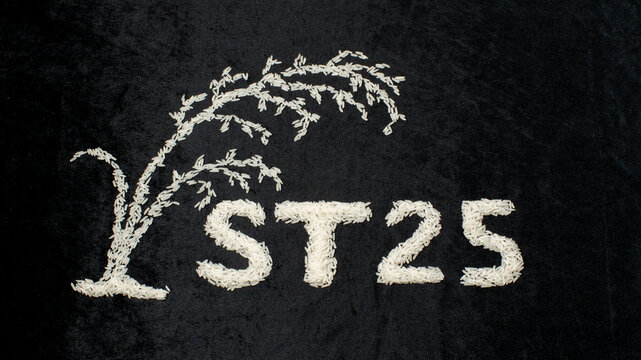 Vietnamese ST25 premium rice grains arranged in text and rice stalk shape on black background.