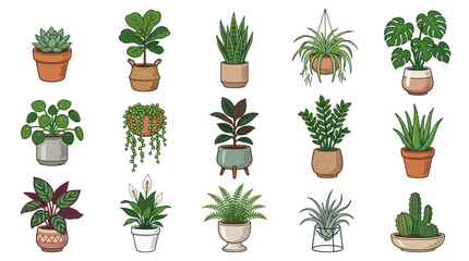 Fototapeta premium Colorful Cartoon Flat Design Potted Houseplants Collection for Home Garden Decor