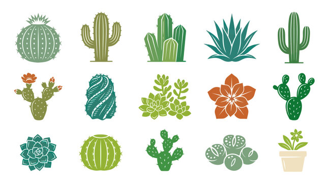 Flat Vector Illustration Set of Cacti and Succulents Icons for Gardening  Desert Plants
