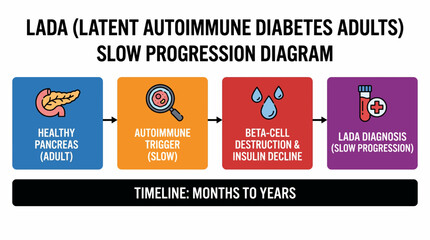 Latent Autoimmune Diabetes Adults LADA Slow Progression Diagram © Bima