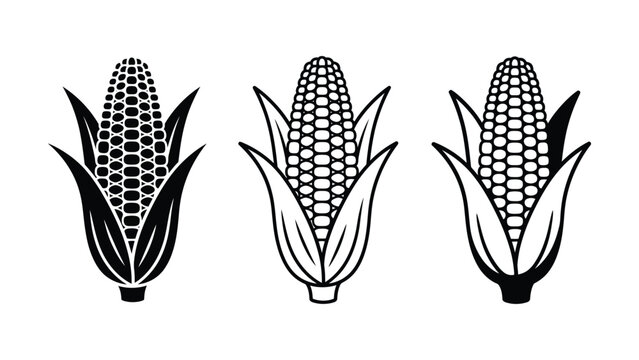 Three stylized corn cobs graphic illustration with detailed kernels pattern