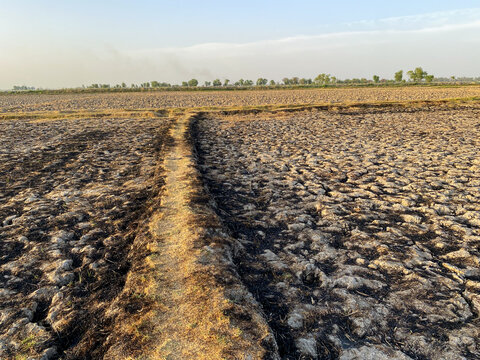 Dry cracked agricultural field soil texture under sunlight drought concept landscape scene