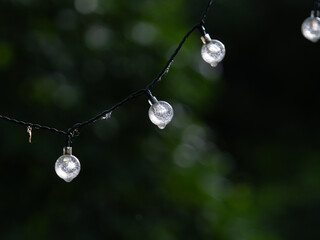 Fototapeta premium Raindrops on LED Glass Light Bulb with Reflections