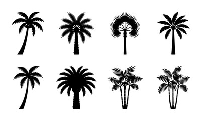 Fototapeta premium Collection of eight different black silhouette palm trees isolated on white background Vector