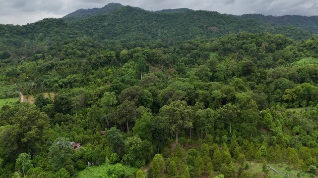 Aerial view of Durians farm in Laplae district, Thailand. Durian and Longkong in the Laplae district are grown on the mountain, hence the name. "Edible Mountain"