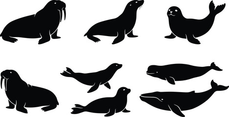 Marine Mammal Silhouette Collection Featuring Walrus Seal Sea Lion and Whale Vector Icons Isolated on Background © MDRAKIB