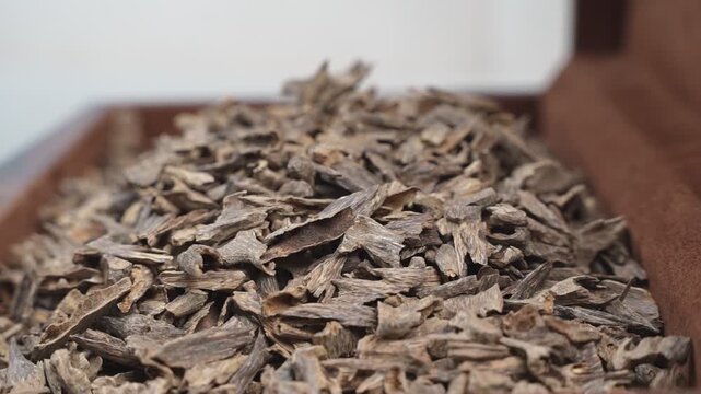 A macro close up shot of a large pile of natural raw agarwood oud chips inside a wooden storage box with a shallow depth of field in a luxury indoor setting.