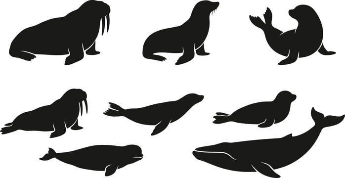 Marine Mammal Silhouette Collection with Walrus Seals and Whales Vector Wildlife Illustration Set Isolated