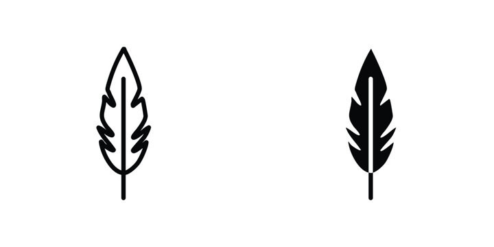 Feather icon