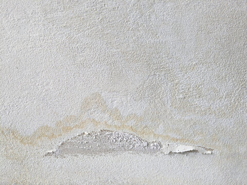 wall paint damaged by moisture