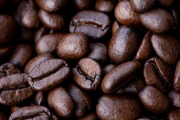 Fototapeta premium a collection of many coffee beans