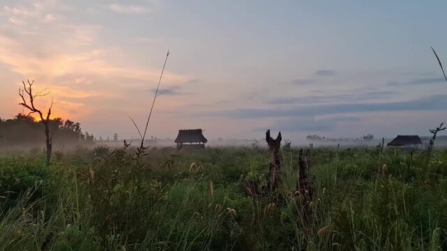 Horizontal camera pan right showing a beautiful foggy sunrise over a wide green field with a traditional rustic wooden hut and tree silhouettes.