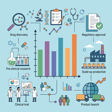 Infographic showing the stages of pharmaceutical drug development