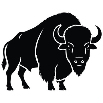 American buffalo bison standing side view vector silhouette illustration line art graphic.