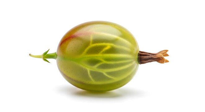 A single green gooseberry with stem and dried flower isolated on white background