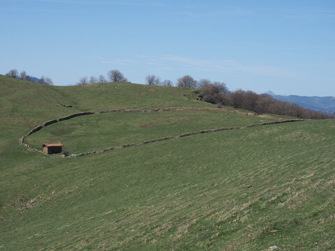 monte