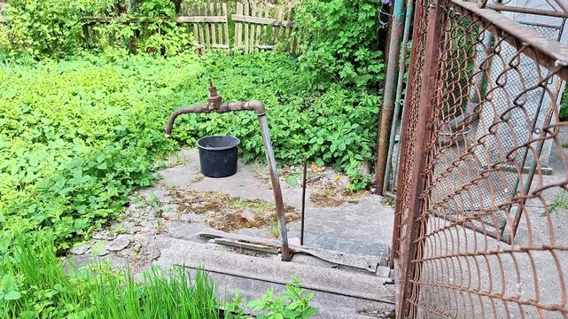 Quiet backyard scene featuring an old hand water pump and bucket surrounded by lush green vegetation. Rustic rural setting highlighting nature, simplicity, and countryside life