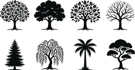Black tree silhouettes collection with different species including oak palm pine and weeping willow isolated on white background © MstRehna