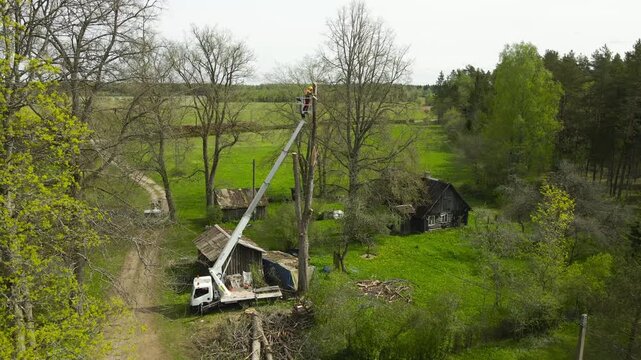 Professional arborist in a bucket truck crane using a chainsaw to prune a large, hazardous tree in a rural backyard, performing essential tree trimming and removal services