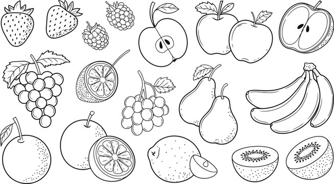 Hand drawn black and white line art collection of fresh fruits including berries, apples, grapes.