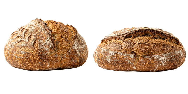 A Set of Artisan Whole Grain Bread Loaves on White Background Rustic Crusty Baked Bakery PNG Image for Cafe Menus Branding and Culinary Design Projects
