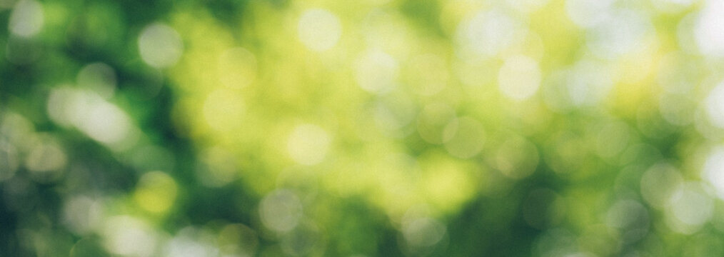 abstract circular green bokeh background, green nature spring and nature light in blurred style, copy space