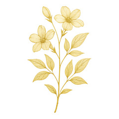 Obraz premium PNG Elegant golden floral illustration