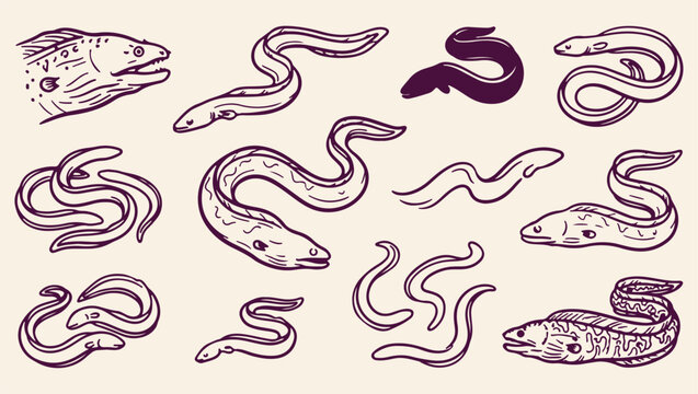 fresh eel fish seafood pattern, raw eel fish background, hand drawn seafood illustration, fresh eel fish print, artistic seafood fish set, decorative fresh eel design, culinary eel sketch graphic, hea