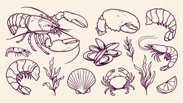marine crab shellfish seafood pattern, fresh crab seafood background, artistic ocean crab illustration, natural crab seafood print, decorative crab seafood set, fresh crab shellfish design, ocean crab