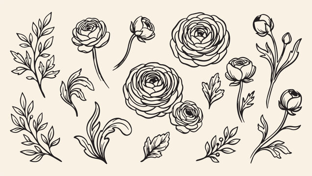 vintage garden rose flower pattern, romantic floral blossom background, hand drawn rose flower illustration, elegant garden rose bloom print, artistic vintage floral set, decorative rose garden design