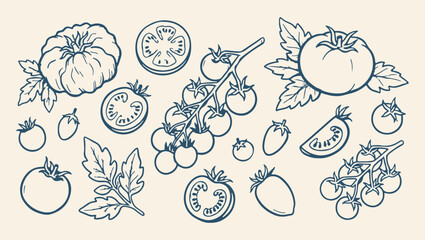 fresh tomato vegetable harvest pattern, organic healthy tomato food background, vine tomato culinary food illustration, raw vegetable kitchen ingredient print, delicious organic dining concept art, ve © Geetaroy