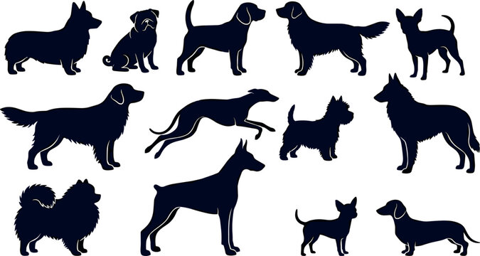 Dog Breed Silhouette Vector Set Featuring Various Purebred Canines Including Corgi Golden Retriever German Shepherd Doberman Dachshund Chihuahua Pomeranian Greyhound Beagle and Terrier