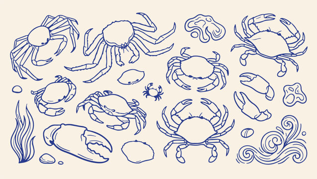 crab seafood harvest seamless pattern, crustacean marine life food illustration, ocean shellfish hand drawn background, fresh crab meat culinary print, delicious seafood dining concept art, sea creatu