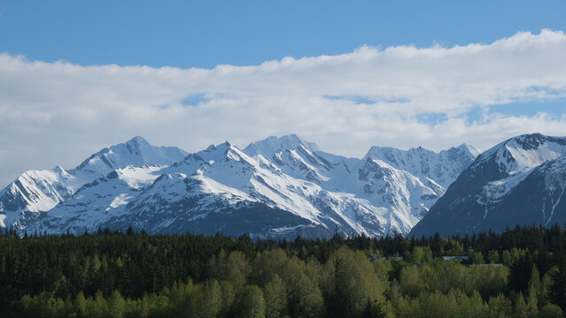 Breathtaking nature landscape scenery around Haines, Alaska in the great outdoors Inside passage national park reserve most beautiful flora fauna on sunny day blue sky