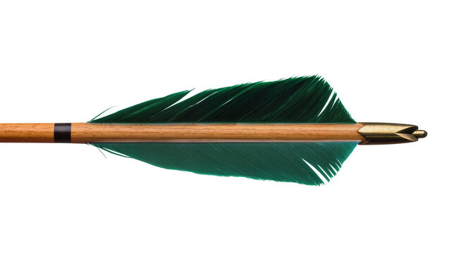 Wooden arrow with green fletching and brass tip