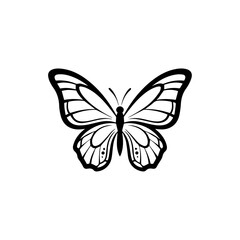 Fototapeta premium A delicate butterfly spreads its colorful wings in a serene natural environment.