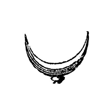 Turkish crescent with ornate pendant form, intricate textured linework, old vintage illustration, 1897.