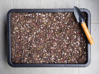 growing media soil desert cactus green cacti cultivated plant agriculture brown ground mix sand Volcanic rock perlite dirt pot shovel texture garden houseplant botany succulent nature tree background © Benjavisa Ruangvaree