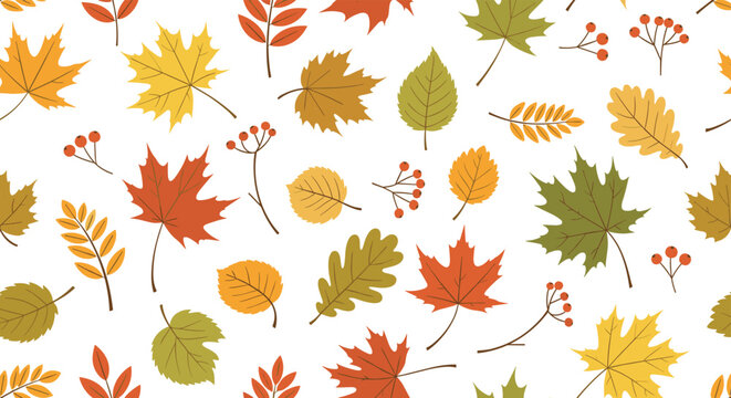Detailed seamless pattern of various fallen leaves and small berry branches on a clean white background for autumn.