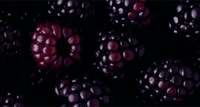 Abstract macro blackberry texture background. Dark moody pattern of ripe fresh blackberries vector illustration.